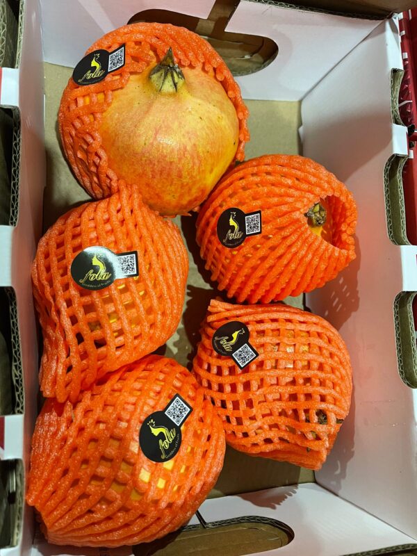 CHINA POMEGRANATE